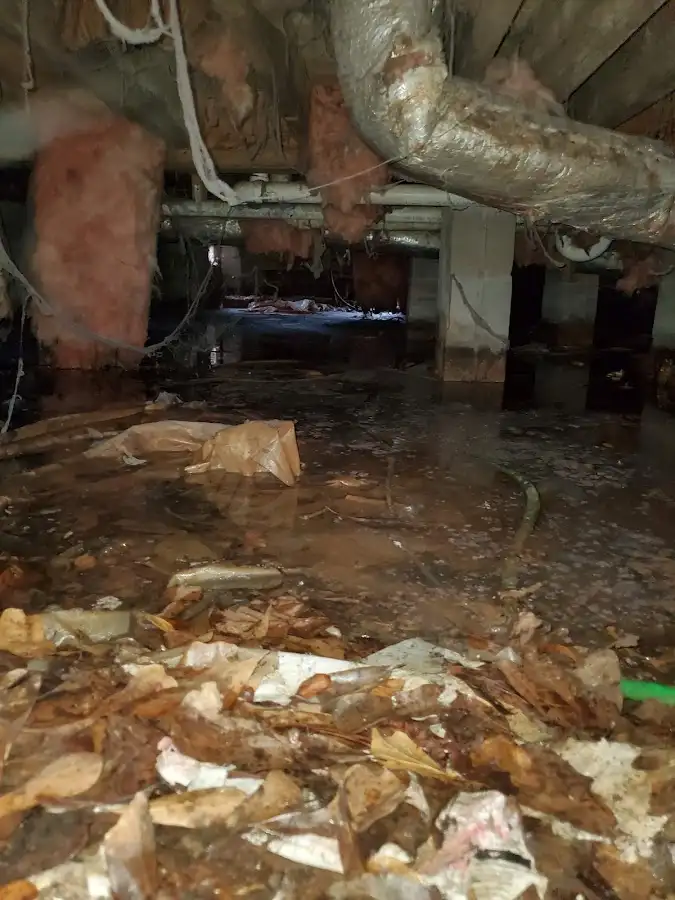 Crawl space flood assessment for Commercial Water Damage Restoration in Los Alamos